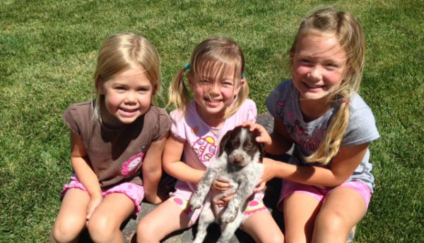 Brittan Puppy Hurley In California