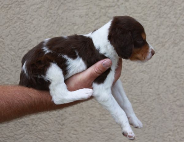 Male # 2 (1)