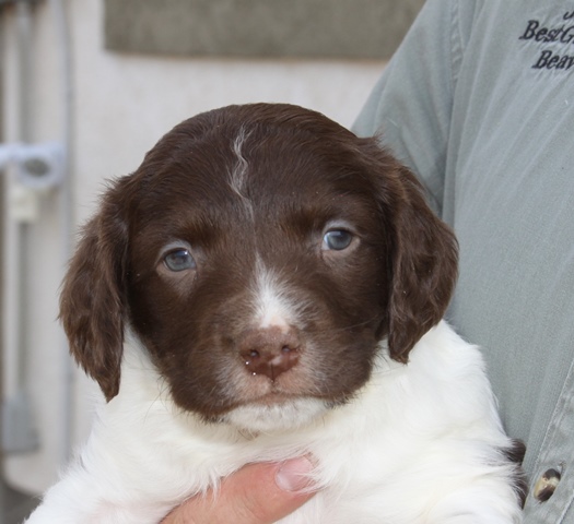 Male # 2 (3)