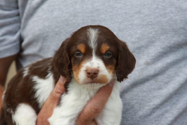 Male # 2 (3)