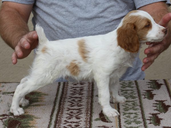 male-3-1
