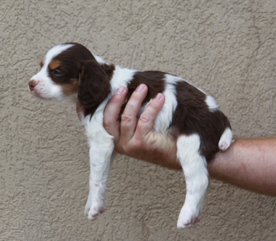 Male # 3 (2)