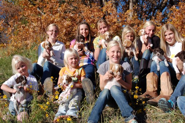 Eleven Puppies need Eleven Kids