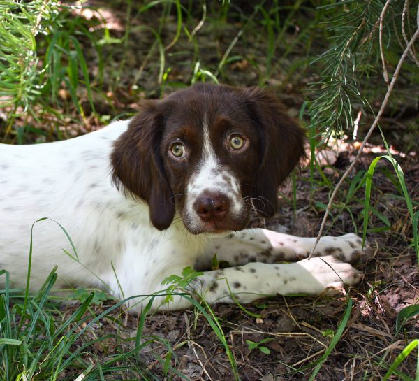 JosieGrowingUp
