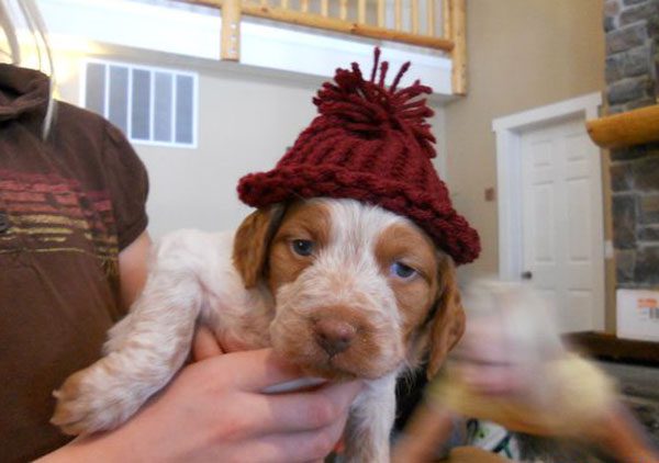 Miracle New Holiday Hat