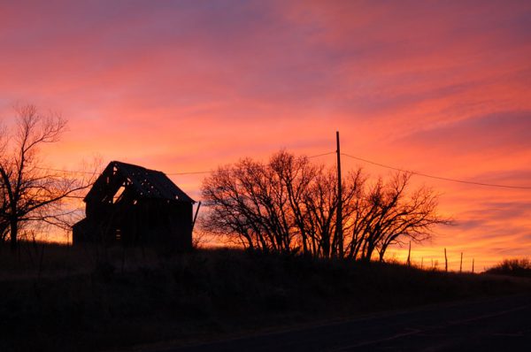 North Fork Pheasant Preserve Sunset